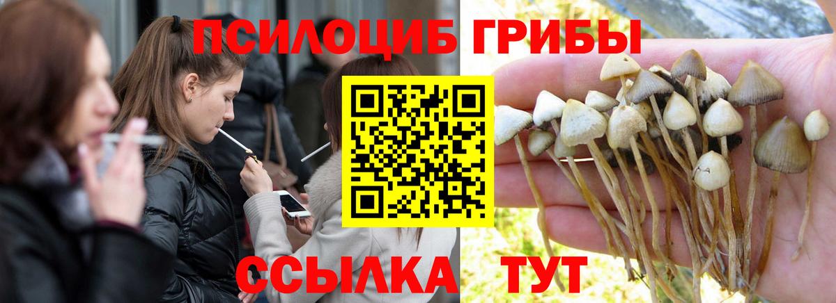 Галлюциногенные грибы мицелий  Вход с VPN  Тимашёвск  Псилоцибиновые грибы ЛСД 